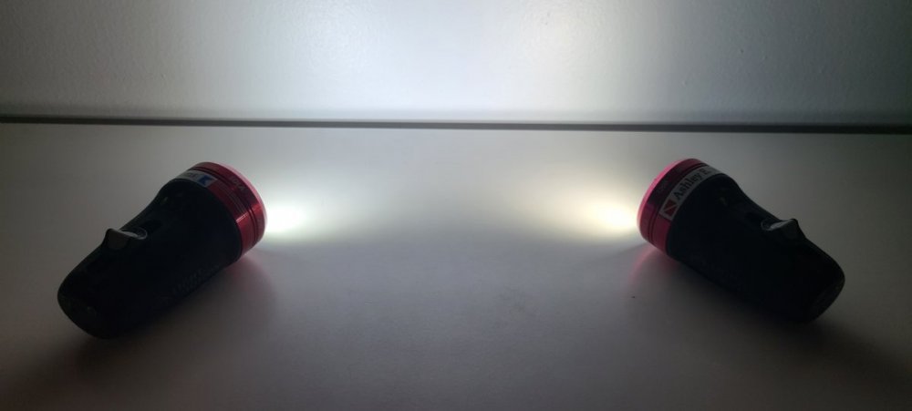 20230308_053833.jpg