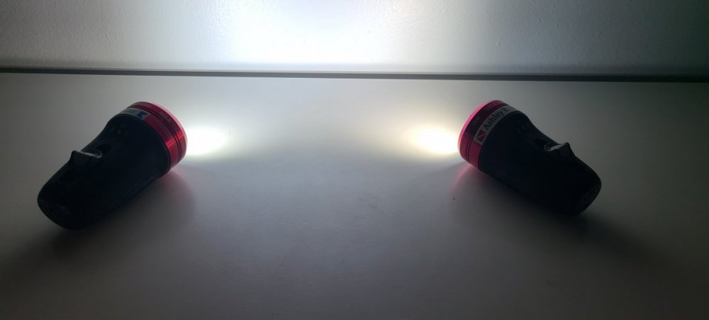 20230308_053841.jpg