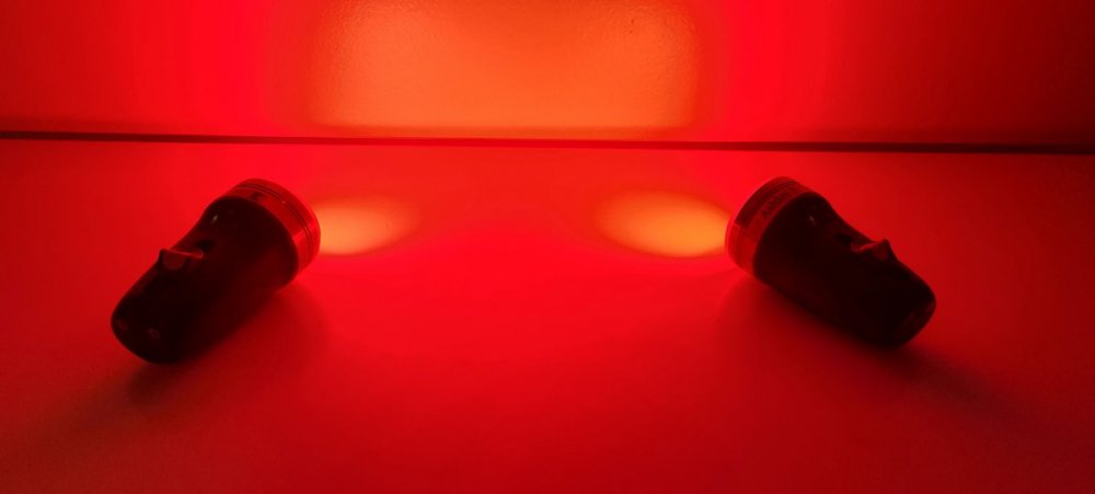20230308_053848.jpg
