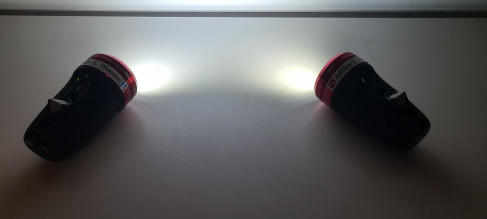 20230308_054029.jpg