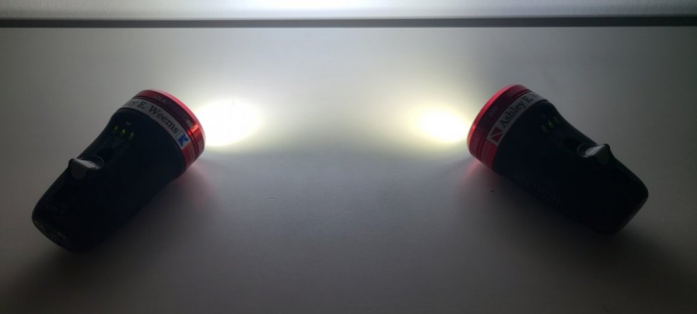 20230308_054037.jpg