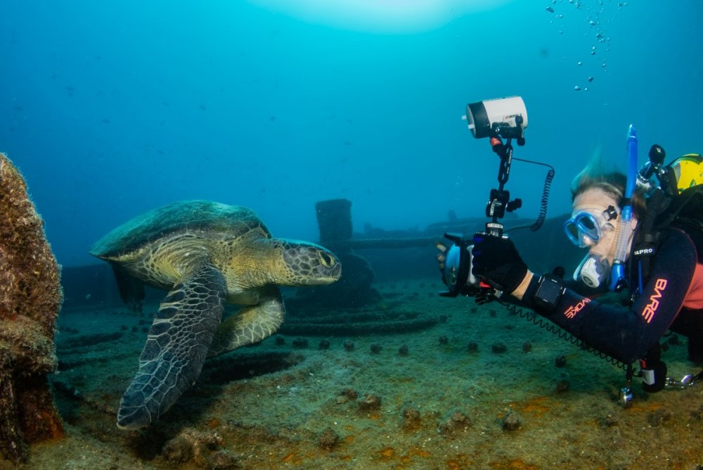 IMG_3981-Edit.jpeg