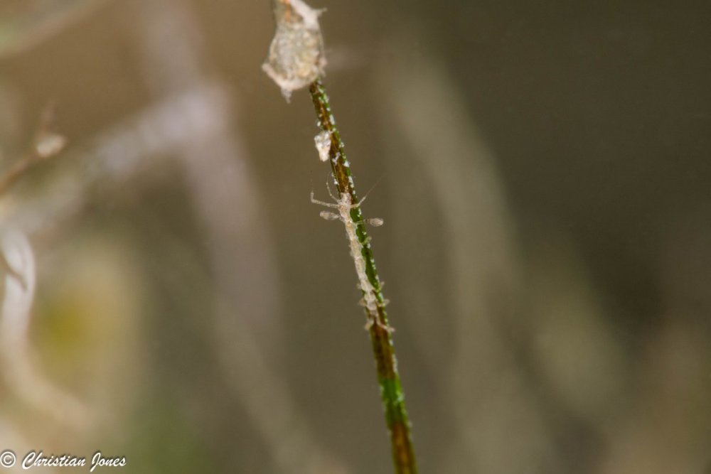 _DSC3696-Edit.jpg
