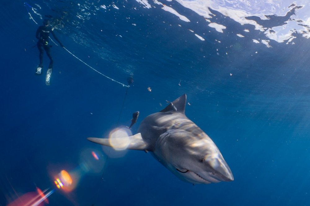 D003F0C4-680B-4806-A5D9-8F4016F775A7.jpeg