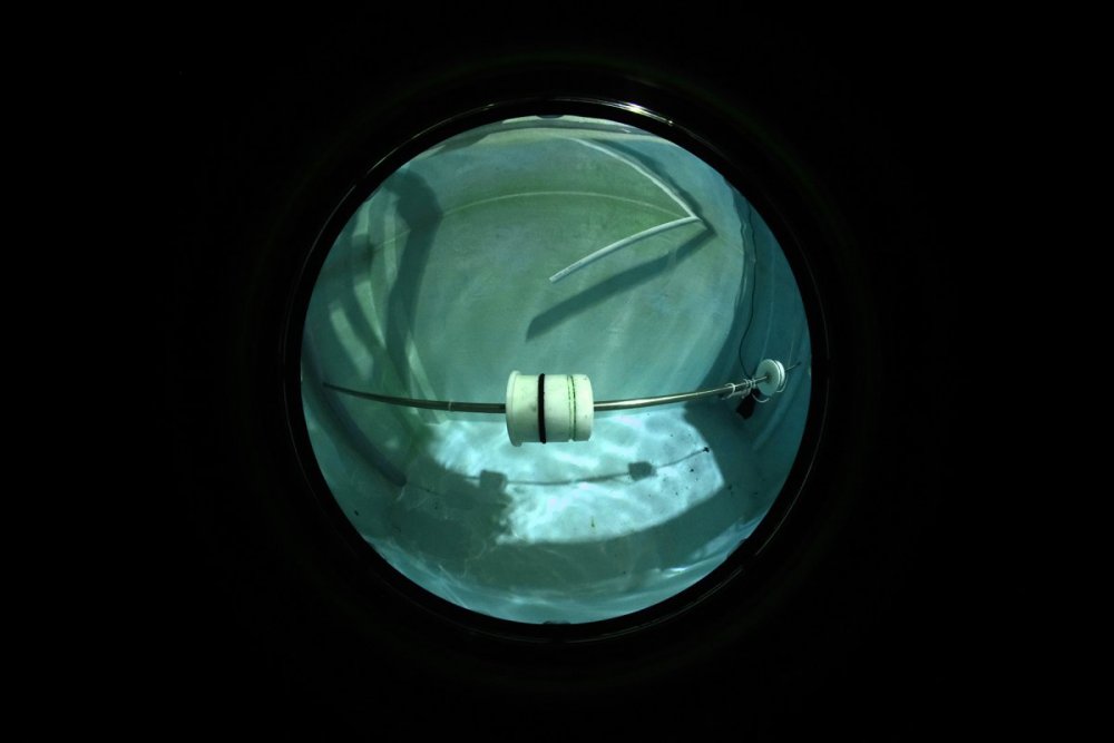 DSCF9459.JPG