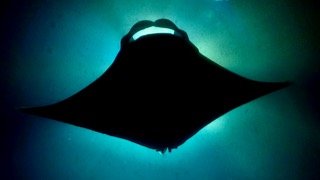 IMG_1136.jpeg.ffb00a9f22d0ec88dace8b316e3155c2.jpeg