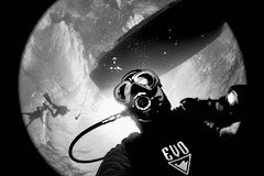 IMG_1186.jpeg.5b17f6c211ad5dd1a79df3f64744204c.jpeg