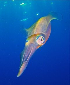IMG_1870.jpeg.835bda33ee5182b3d8fa0f58f9e3f1a8.jpeg