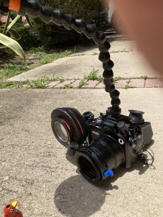 NA-R50 assembled 3.jpg