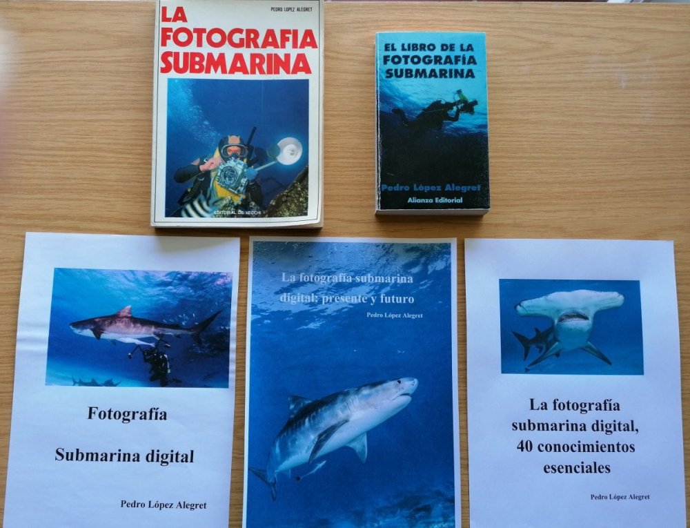 Pentalogia Fotografia submarina.jpg