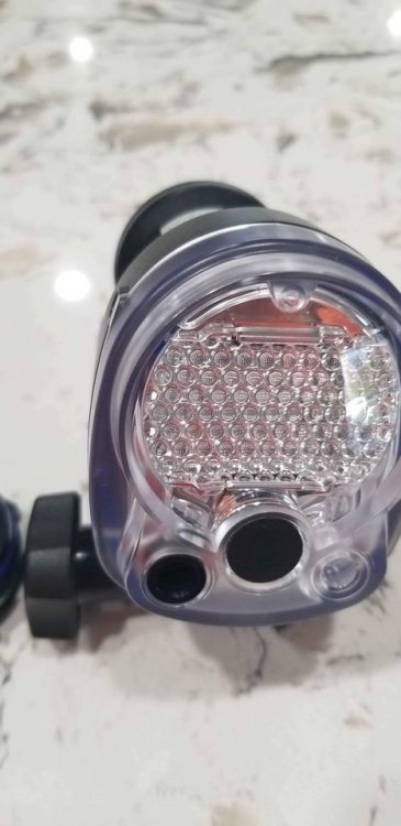 Strobe_5.jpg