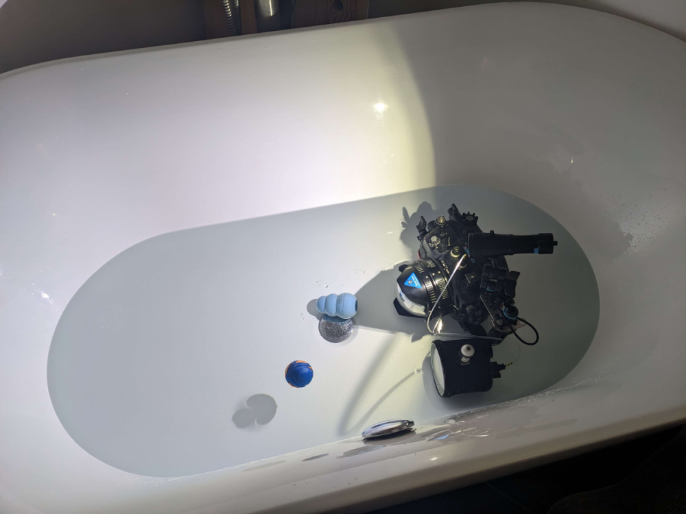 image.thumb.png.c39e9f8702e1cc1c98552c73313292c4.png