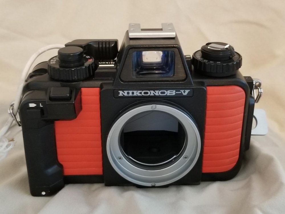 NikonosVand15mm-brandon_cole-20220626_155951.jpg