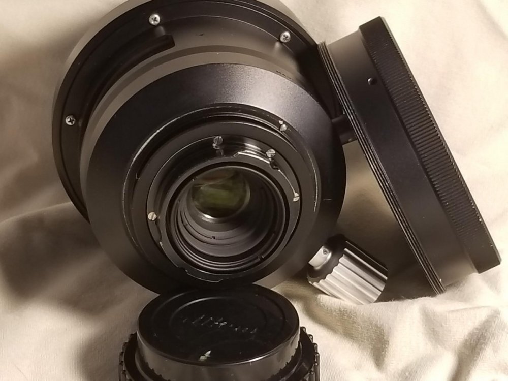NikonosVand15mm-brandon_cole-20220626_160202.jpg