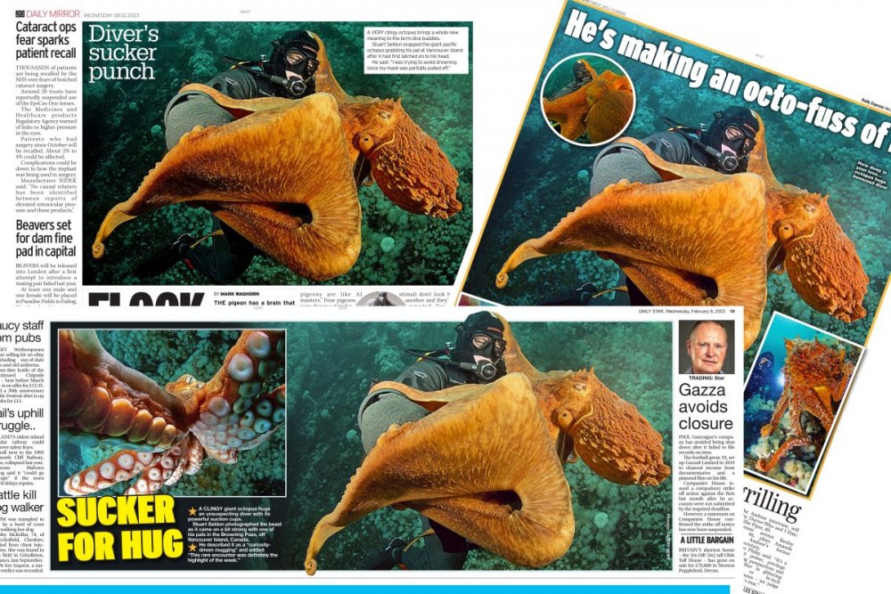Tabloids.jpg