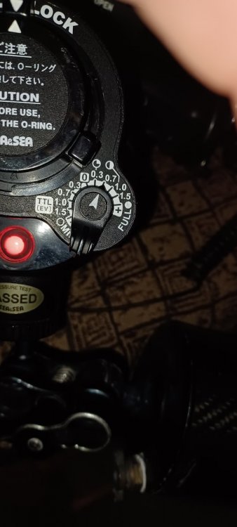 20230723_091120.thumb.jpg.66a8fe46731e4f3dbbe9dbc8d553511f.jpg