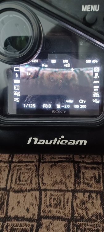 20230724_082246.thumb.jpg.55b9d77eb9ce2ca06ea0ecba3d2775e5.jpg