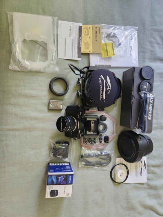 Olympus 5.jpg