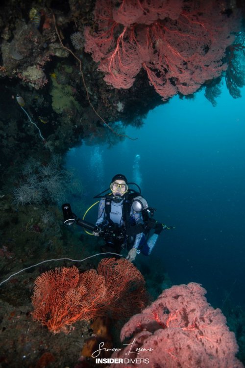 Raja Ampat 2023-01 Simon Lorenz-1228.jpg