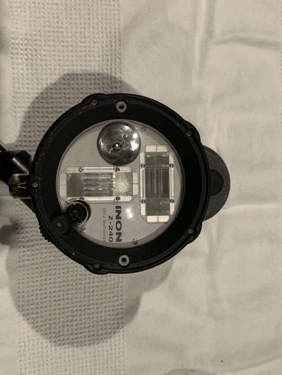 IMG_1129.JPG