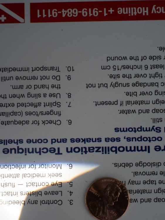 P7294741.jpg