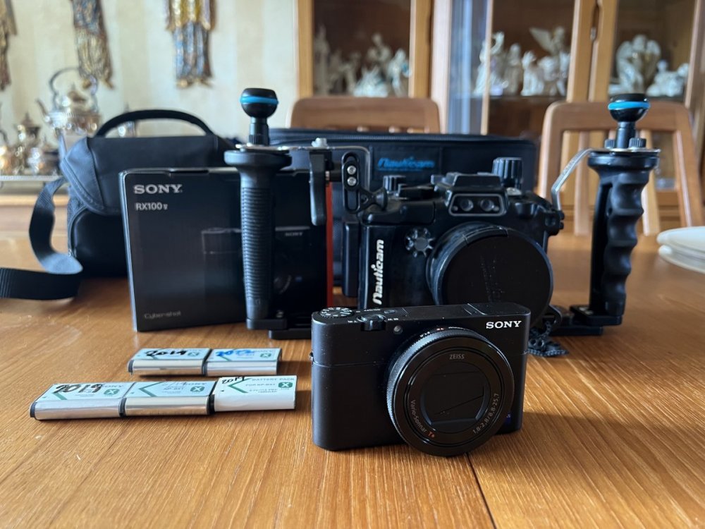 Sony RX100V .jpeg