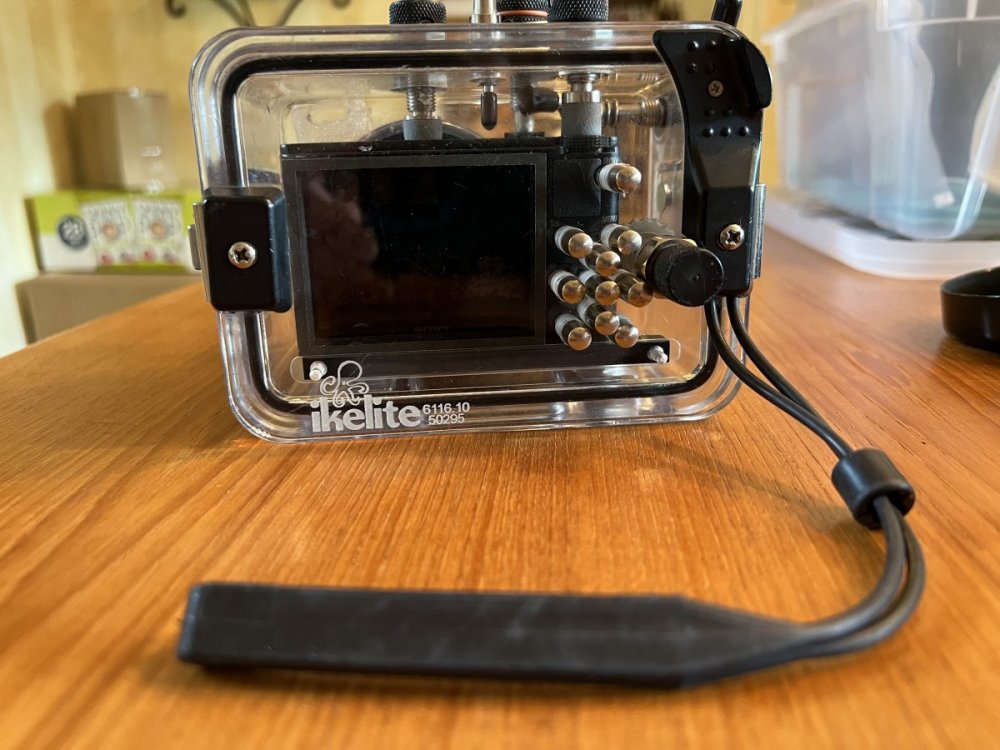 Ikelite Underwater Housing for Sony Cyber-shot RX100 IV Compact Camera back.jpeg