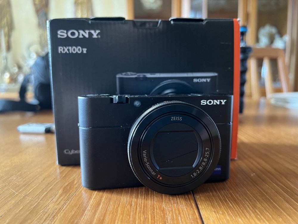 Sony RX 100 V.jpeg