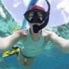 katy-kid