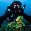 Scuba_SI