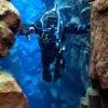 peartdiver